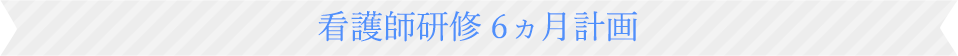 看護師研修6か月計画